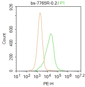 1 - RAB35 Rabbit pAb AP94111