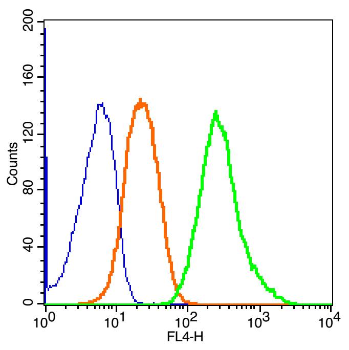 1 - ganglioside GM1 Rabbit pAb AP94147
