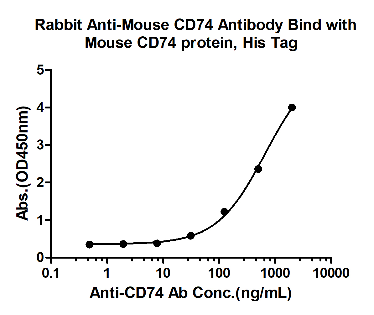 10 - CD74 Rabbit pAb AP94149