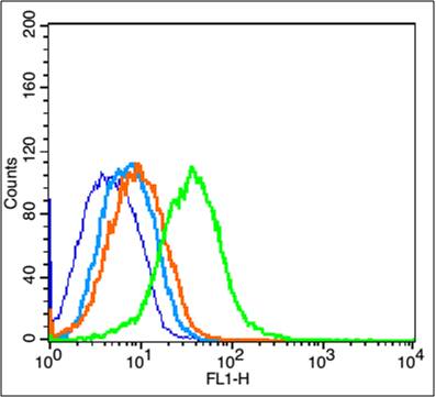 1 - CD44V6/HCAM Rabbit pAb AP94198