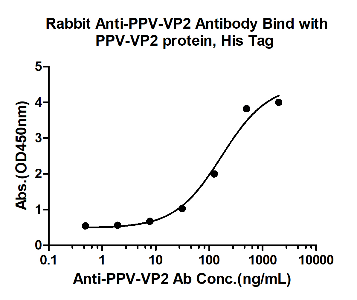 10 - PPV VP2 Rabbit pAb AP94212