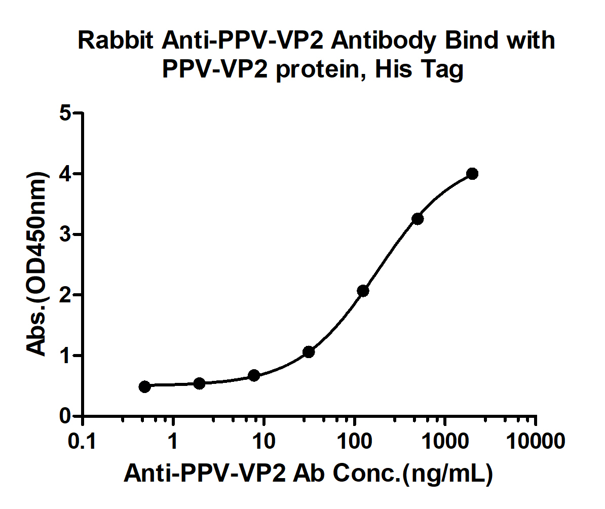 10 - PPV VP2 Rabbit pAb AP94212