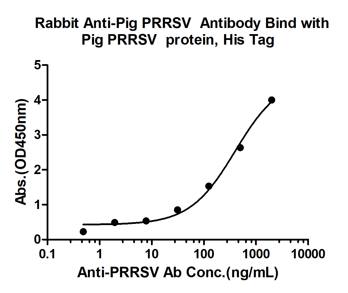 10 - PRRSV N Rabbit pAb AP94253