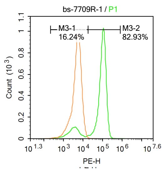 1 - Retinoic acid induced 17 Rabbit pAb AP94296