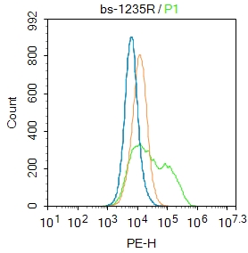 1 - Hyaluronidase-1 Rabbit pAb AP94300