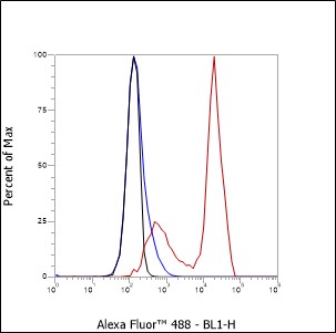 1 - CD43 Recombinant Mouse mAb AP94319