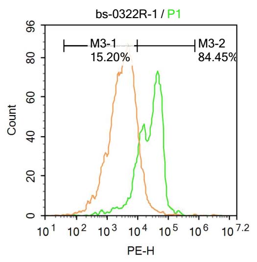 1 - AEBP1 Rabbit pAb AP94364
