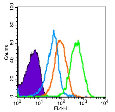 1 - BRCA1 Rabbit pAb AP94454