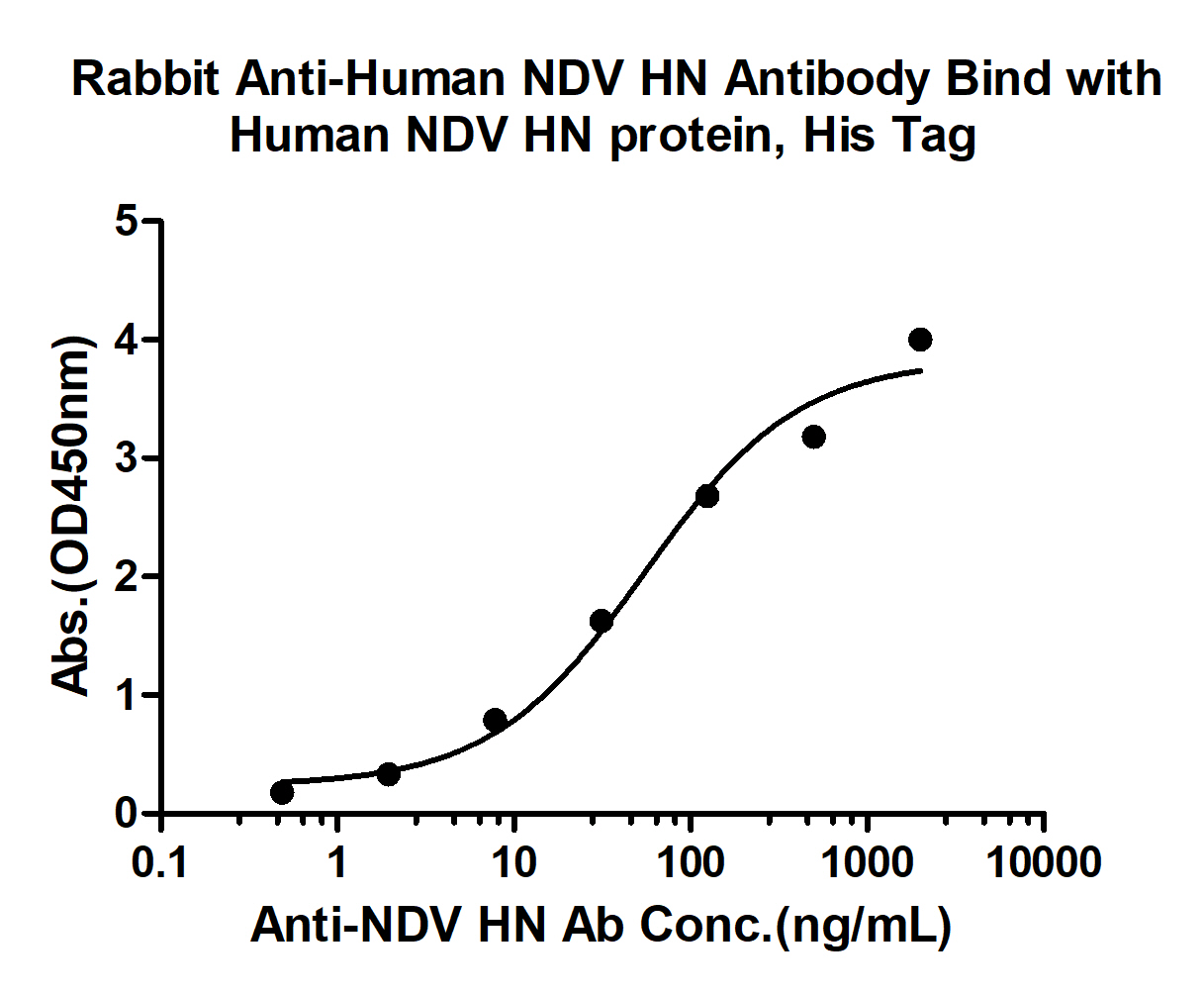 10 - NDV HN Rabbit pAb AP94469