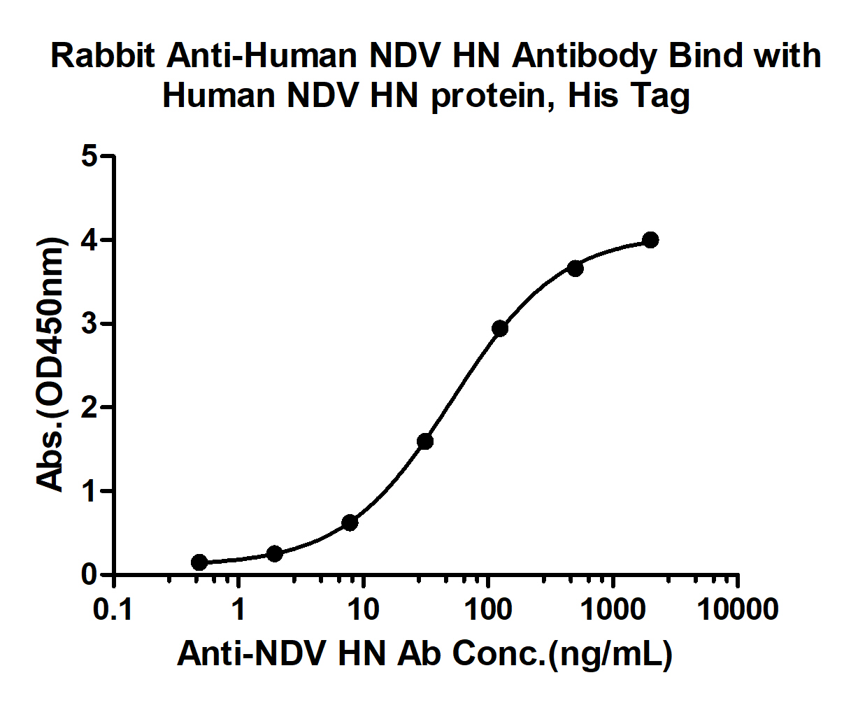 10 - NDV HN Rabbit pAb AP94469