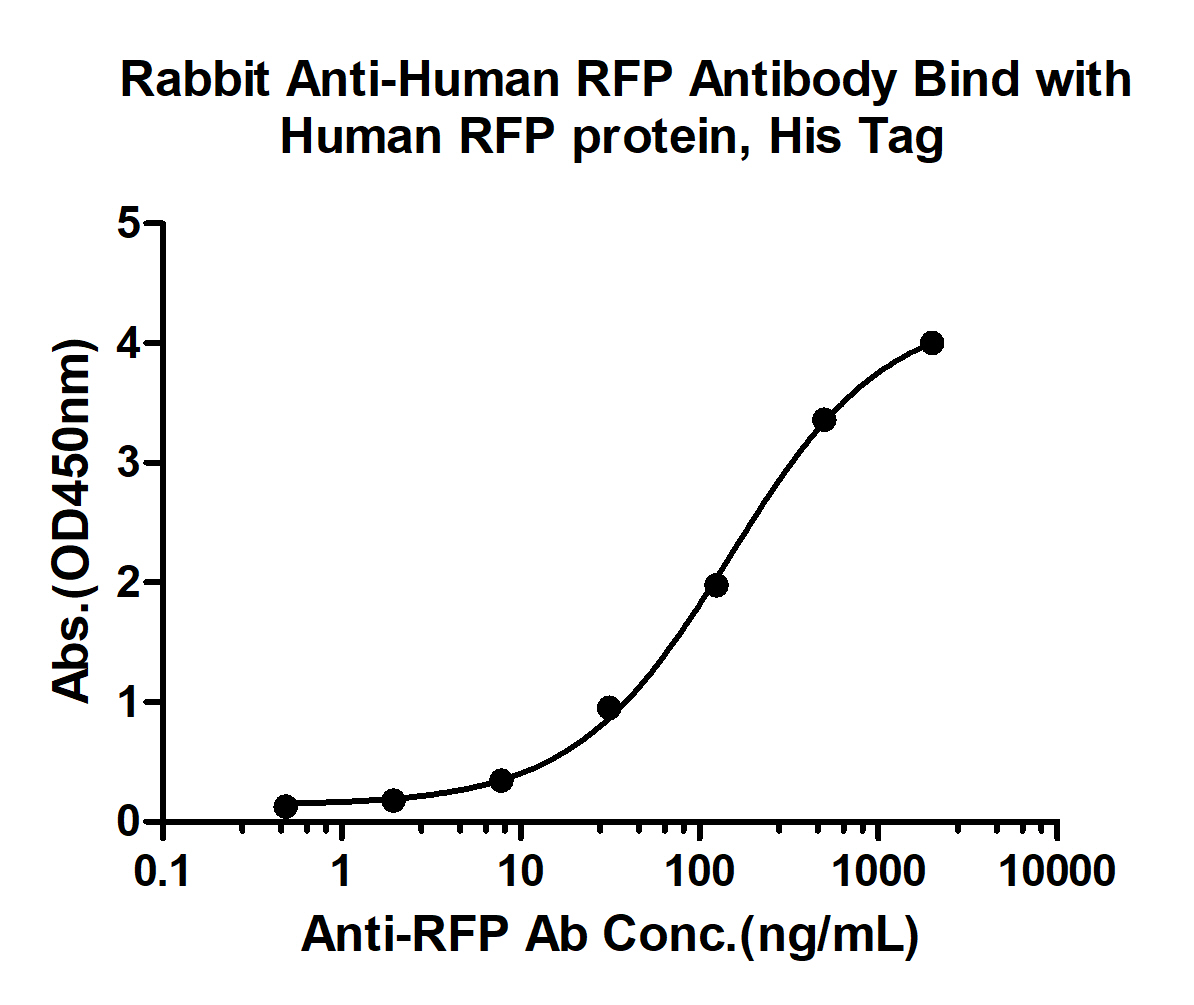 10 - RFP Rabbit pAb AP94470