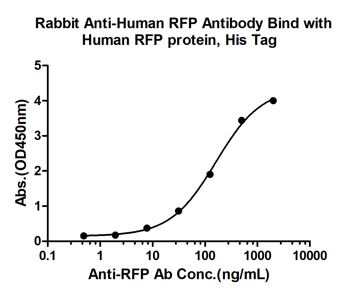 10 - RFP Rabbit pAb AP94470