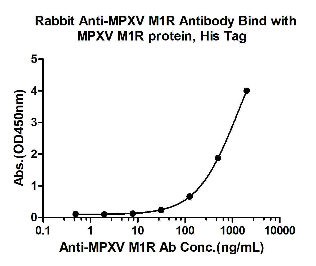 10 - MPXV/M1R Rabbit pAb AP94478