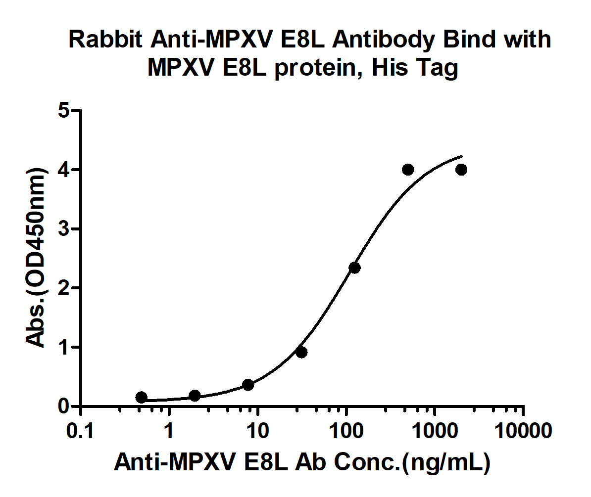 10 - MPXV/E8L Rabbit pAb AP94480