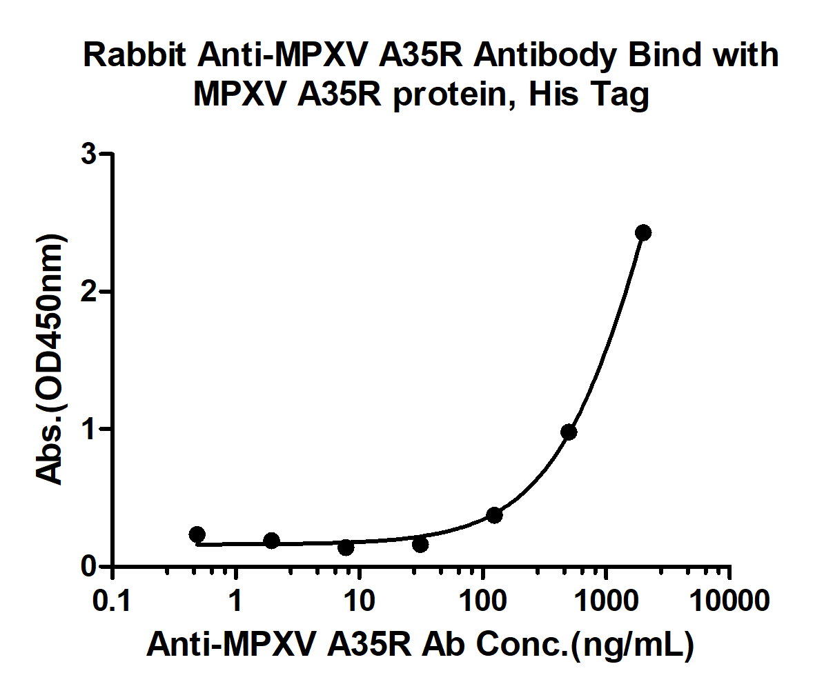 10 - MPXV/A35R Rabbit pAb AP94481