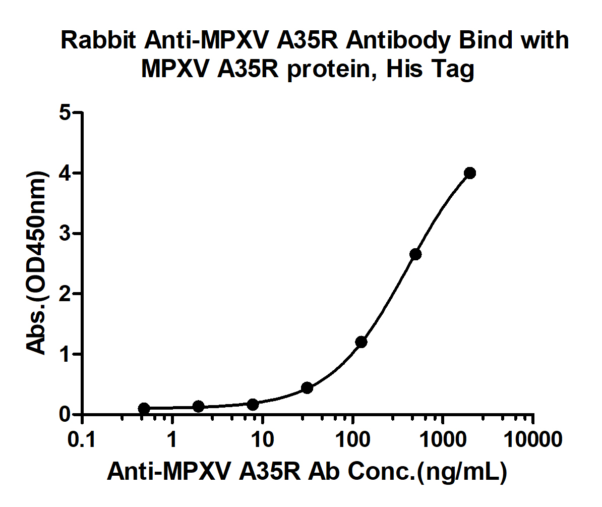10 - MPXV/A35R Rabbit pAb AP94481