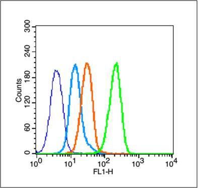 1 - HMGB1 Rabbit pAb AP94624