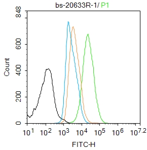 1 - HMGB1 Rabbit pAb AP94624