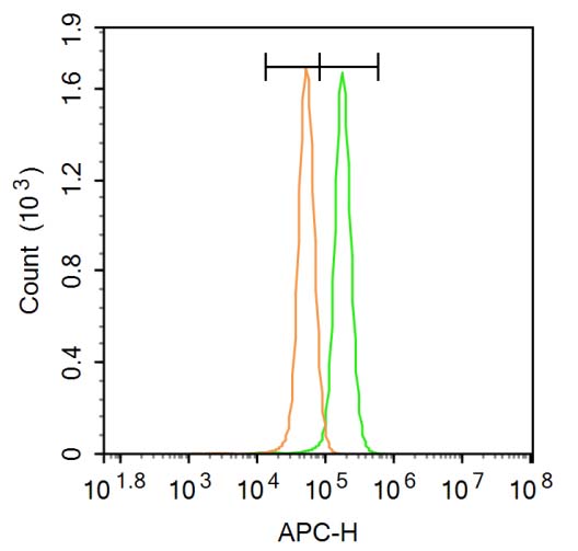 1 - Nogo-A Rabbit pAb AP94628