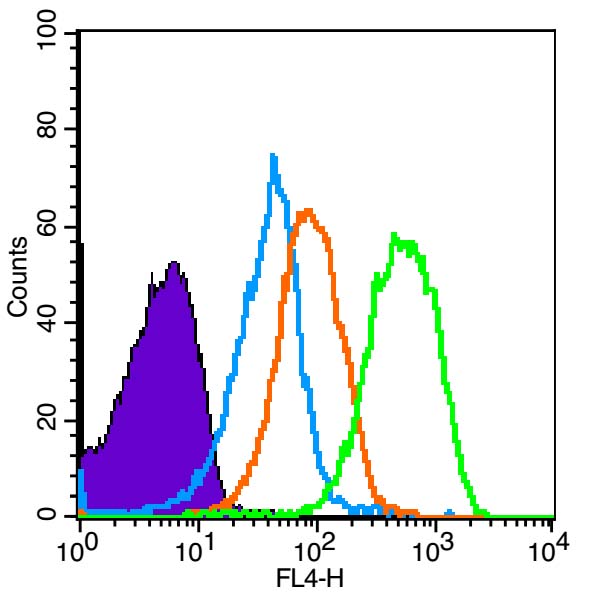 1 - AMPK alpha 1 Rabbit pAb AP94685