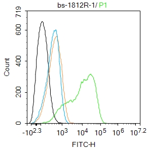 1 - Notch3 Rabbit pAb AP94725