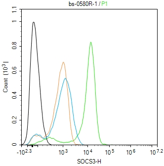 0 - SOCS3 Rabbit pAb AP52034