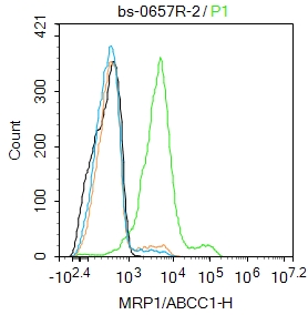 0 - MRP1/ABCC1 Rabbit pAb AP52039