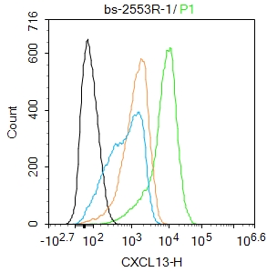 0 - CXCL13 Rabbit pAb AP52043