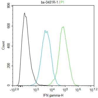 0 - IFN gamma Rabbit pAb AP52067