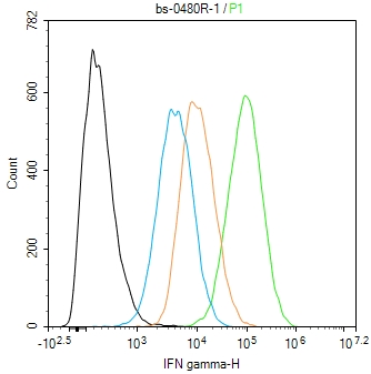 0 - IFN gamma Rabbit pAb AP52068