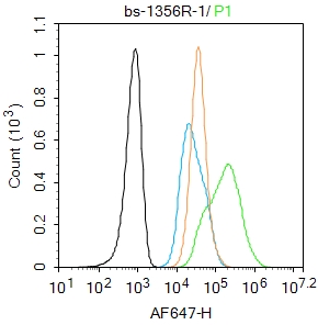 0 - Integrin  Alpha V + Beta 5 Rabbit pAb AP52091
