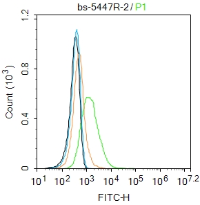 0 - phospho-IGF1R (Tyr980) Rabbit pAb AP52099