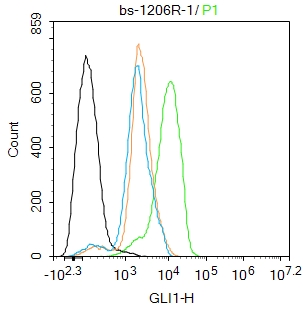 0 - GLI1 Rabbit pAb AP52100