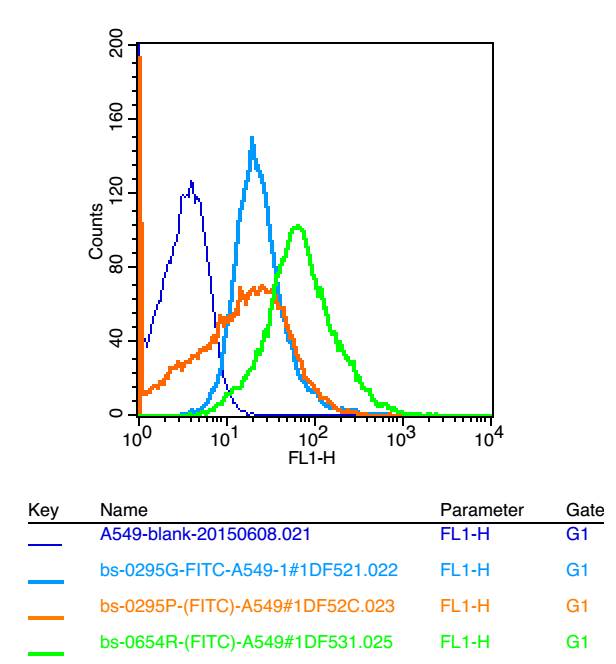 0 - Growth hormone receptor Rabbit pAb AP52113