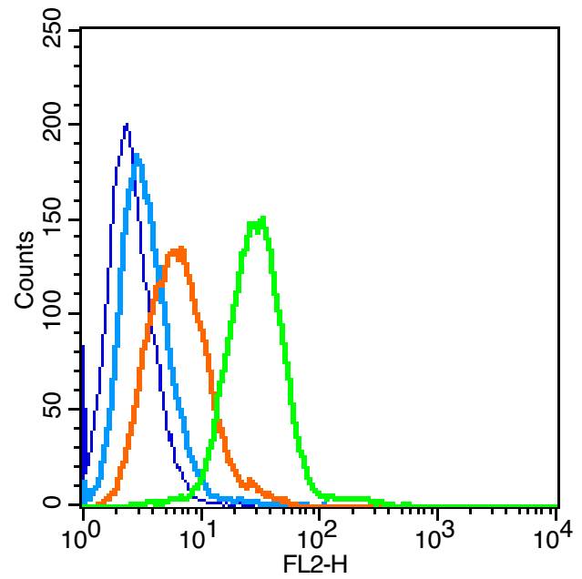 0 - IGF2R/M6PR Rabbit pAb AP52118