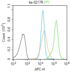 0 - FGF2 Rabbit pAb AP52135