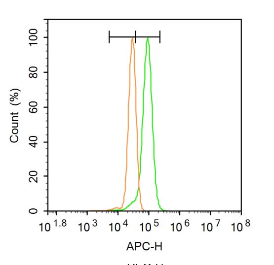 0 - Vinculin Rabbit pAb AP52145