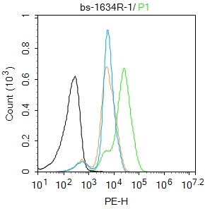 0 - ATF6 Rabbit pAb AP52147