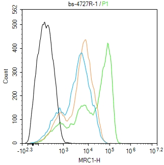 0 - MRC1 Rabbit pAb AP52168