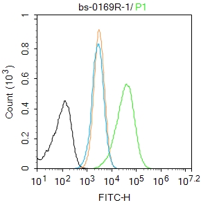 0 - Caspase-1 P10 Rabbit pAb AP52182