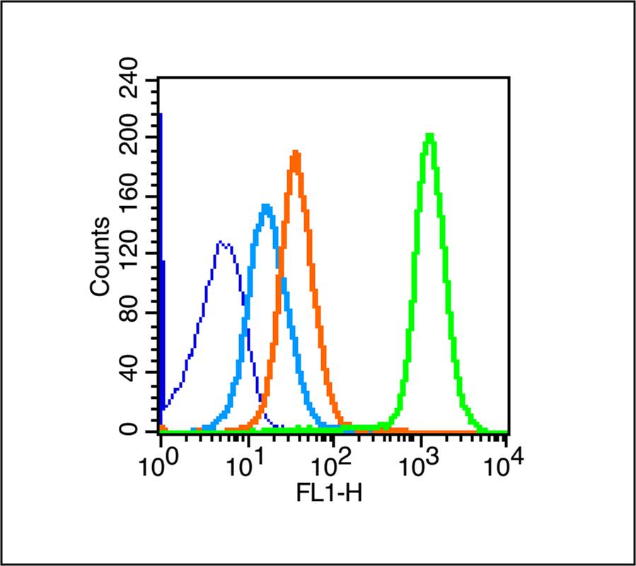 0 - IL12A Rabbit pAb AP52206