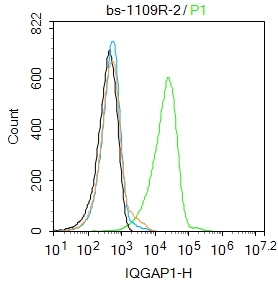 0 - IQGAP1 Rabbit pAb AP52210