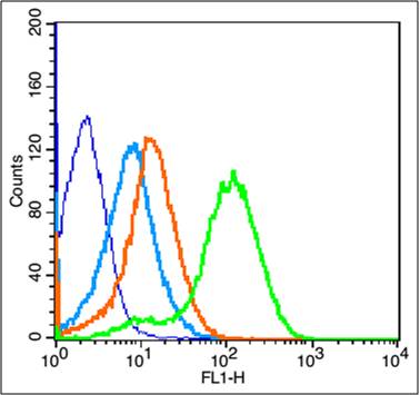 0 - Fas Ligand Rabbit pAb AP52211