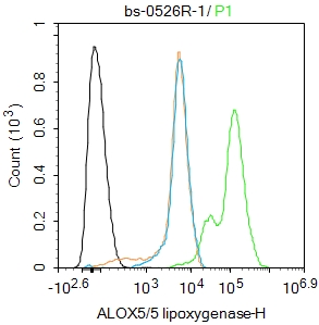 0 - ALOX5 Rabbit pAb AP52215