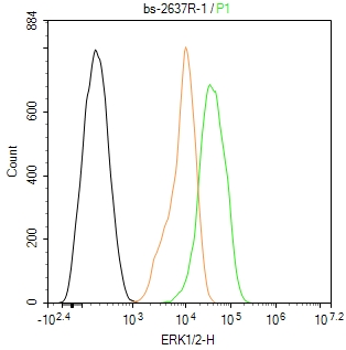0 - ERK1/2 Rabbit pAb AP52230