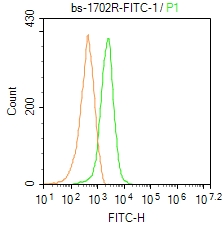 0 - FUT4 Rabbit pAb AP52253