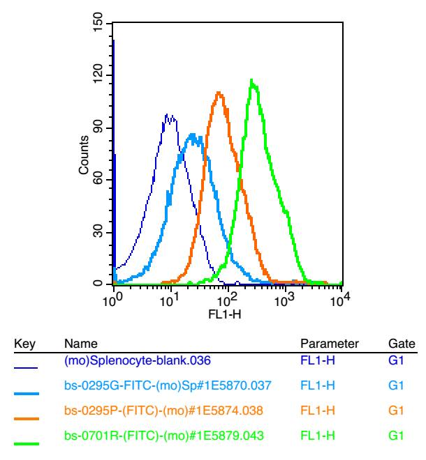 0 - Ceramide glucosyltransferase Rabbit pAb AP52273