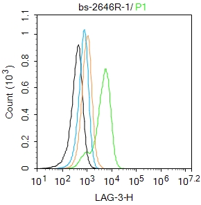 0 - LAG3 Rabbit pAb AP52277