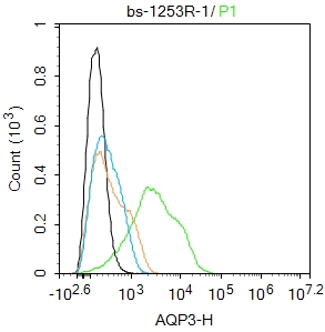 0 - AQP3 Rabbit pAb AP52297