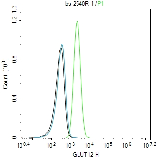0 - GLUT12 Rabbit pAb AP52299
